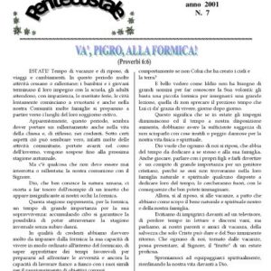 N. 7 | Anno 2001