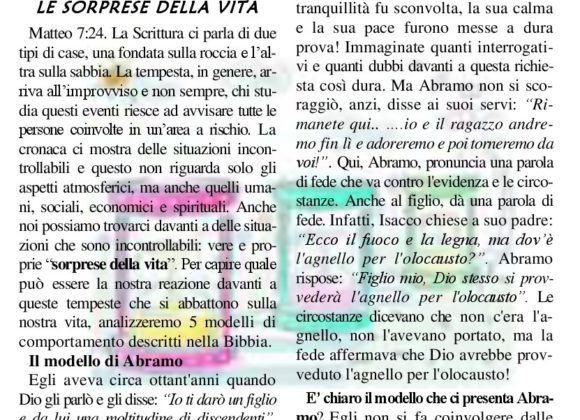 N. 49 | Anno 2008