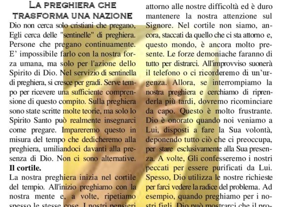 N. 50 | Anno 2008