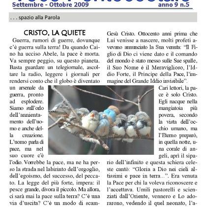 N. 55 | Anno 2009