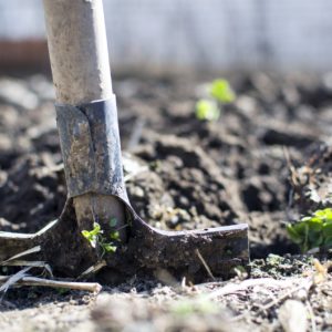 Se non è costato nulla, non servirà a nessuno