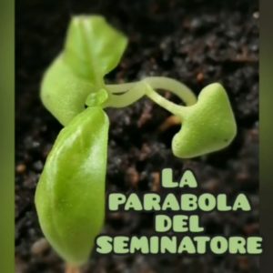 La parabola del seminatore