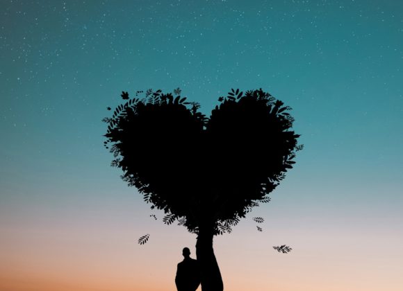 La guarigione del cuore La guarigione del cuore